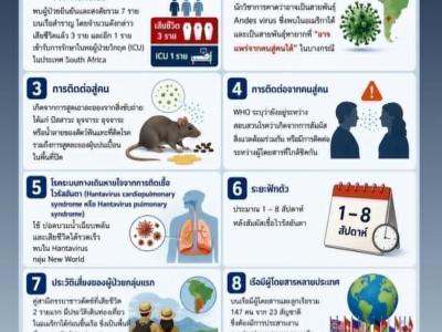 รวมสื่อเรียนรู้