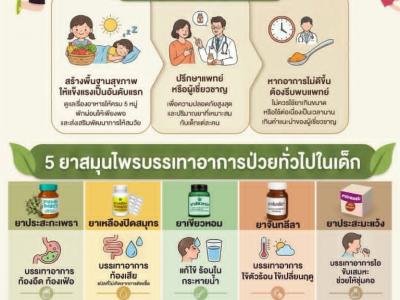 รวมสื่อเรียนรู้