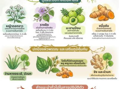 รวมสื่อเรียนรู้